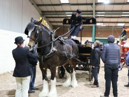 Actualités / News &raquo; 201803 Shire Horse Society Spring Show In Stafford