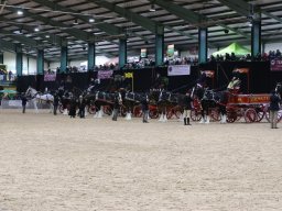 Actualités / News &raquo; 201803 Shire Horse Society Spring Show In Stafford