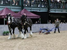 IMG_0328-1536p