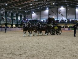 IMG_0406-1536p