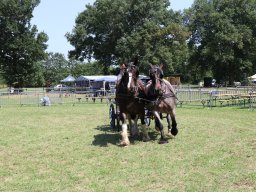 Actualités / News &raquo; 20190706 Saint Aigulin 