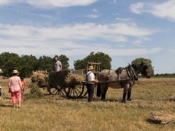 Actualités / News &raquo; 20190803 Braud Saint Louis