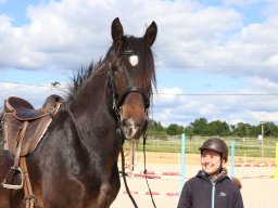 Chevaux / Horses