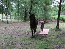 IMG_2431-1536p