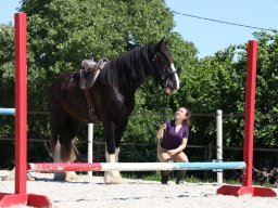 IMG_2036-1536p