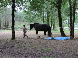 IMG_2368-1536p