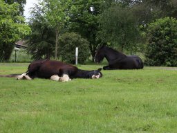 IMG_1874-1536p