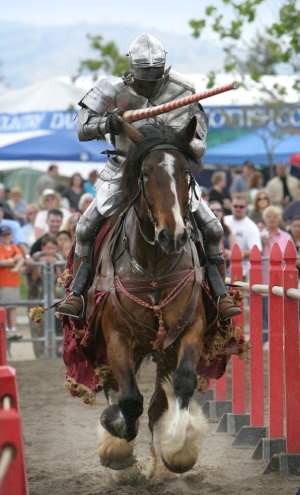 Knight in armour on a Shire